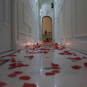 2* Guest house Erossuite